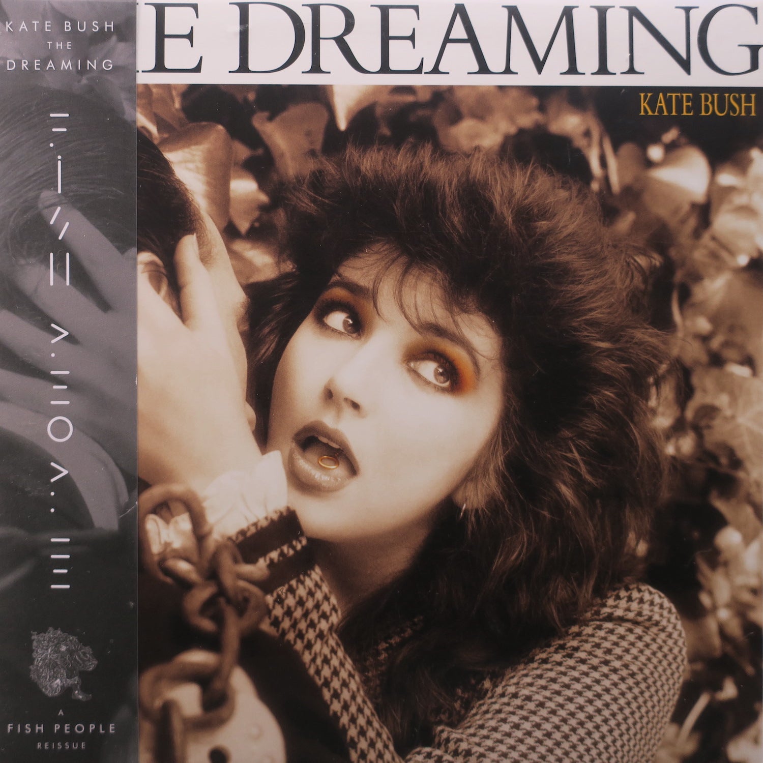 KATE BUSH 'Dreaming' 180g Smokey Vinyl LP Record - Limited Edition Collectible for Audiophiles & Music Lovers - Perfect for Home Listening, Gifts & Vinyl Collections