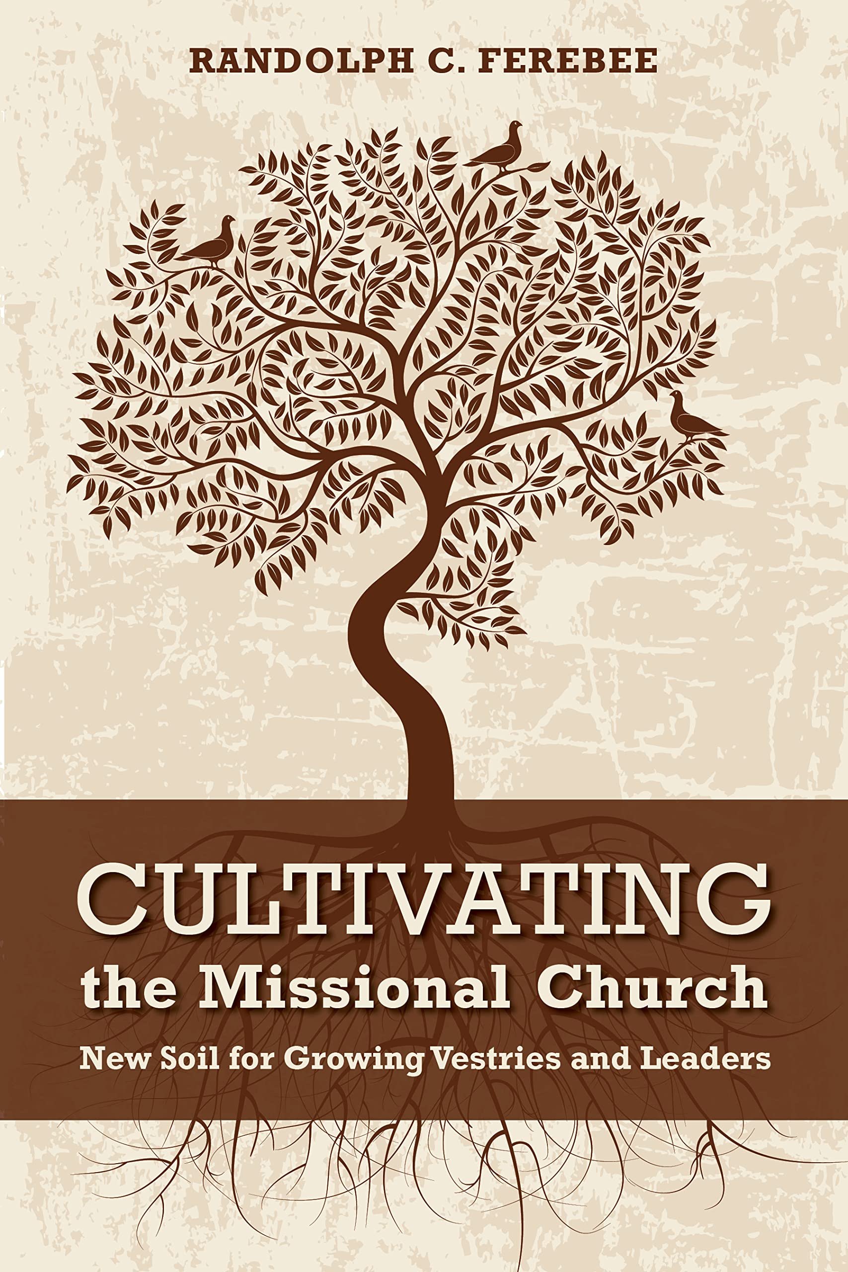 Missional Church Growth Guide: Strategies for Developing Vestries and Church Leaders | Leadership Training & Ministry Development