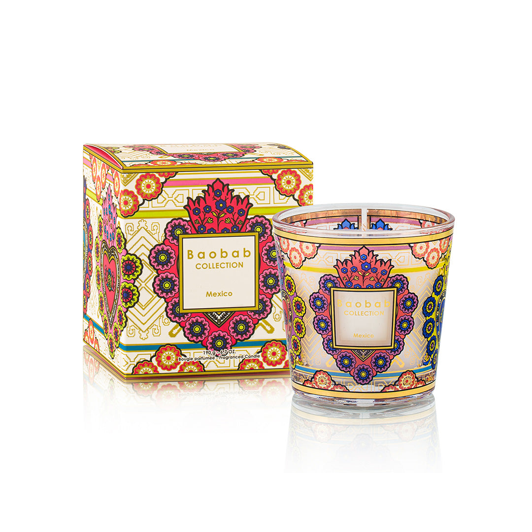Premium Baobab Mexico Scented Candle - Handmade Soy Wax Candle with Natural Fragrance for Home, Spa & Romantic Ambiance