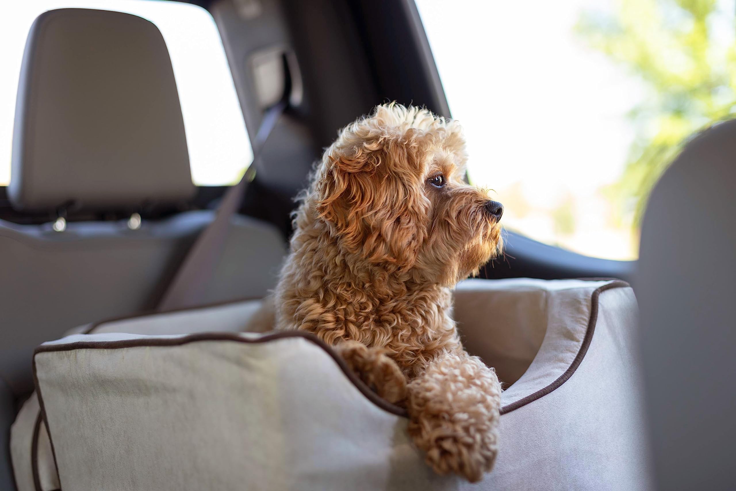 Snoozer Dog Car Seat for Small Dogs 5-15 lbs - Washable Pet Booster with Harness - Perfect for Travel & Motion Sickness Relief