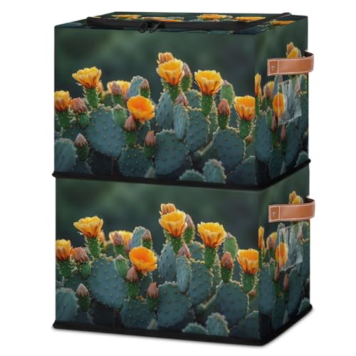 Cactus Flower