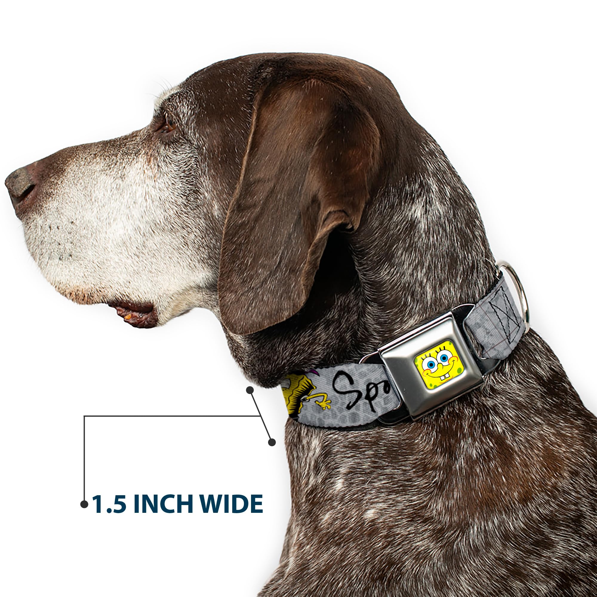**SpongeBob Dog Collar with Seatbelt Buckle - 3 Fun Poses, 1.5