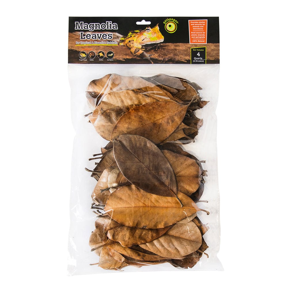 Organic Galápagos Magnolia Leaf Litter for Terrariums - Natural Substrate for Reptiles, Amphibians & Bioactive Vivariums - Perfect for Habitat Enrichment & Egg-Laying Areas