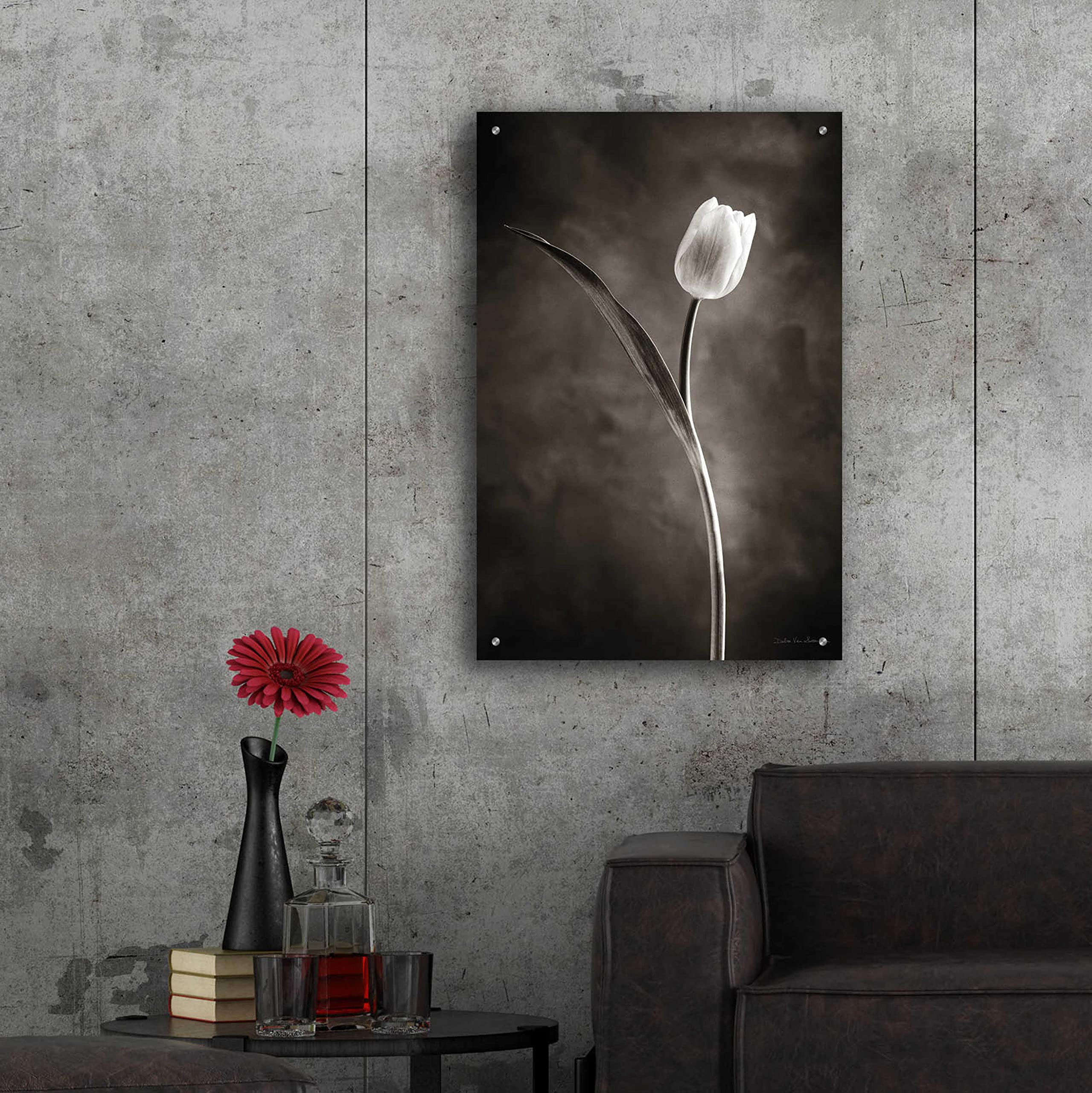 Two Tone Tulips II Acrylic Glass Wall Art by Debra Van Swearingen - 24x36 Inch Modern Floral Painting for Living Room, Bedroom & Office Decor