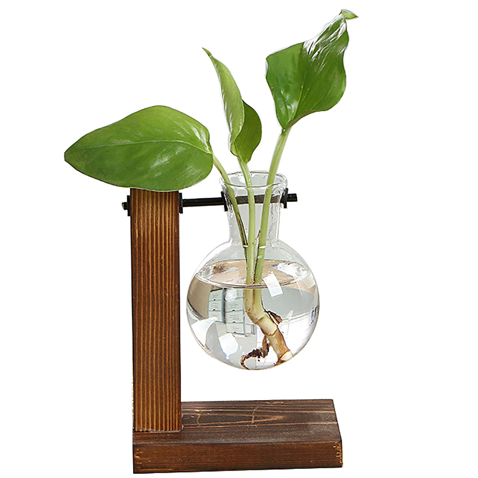 TBoxBo Glass Bulb Vase with Wooden Frame - Clear Hydroponic Plant Stand for Indoor Plants, Retro Home Decor (1 PC) - Perfect for Windowsills, Office Desks & Living Room Decor