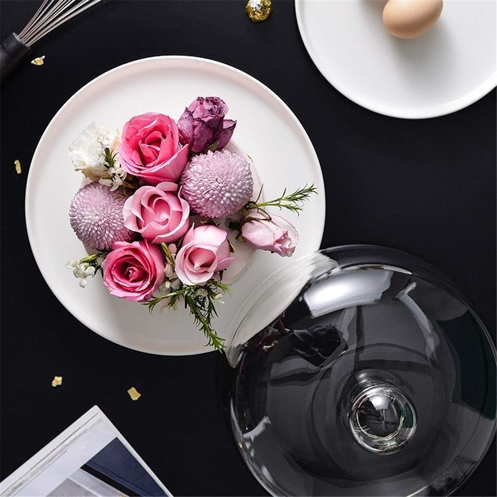 6/8/10 Inch Glass Cake Dome with Stand - Elegant Porcelain Serving Platter for Desserts, Snacks & Fruit Preservation - Chip & Dip Server for Parties, Afternoon Tea & Kitchen Display (Blue, 26x26x20CM)