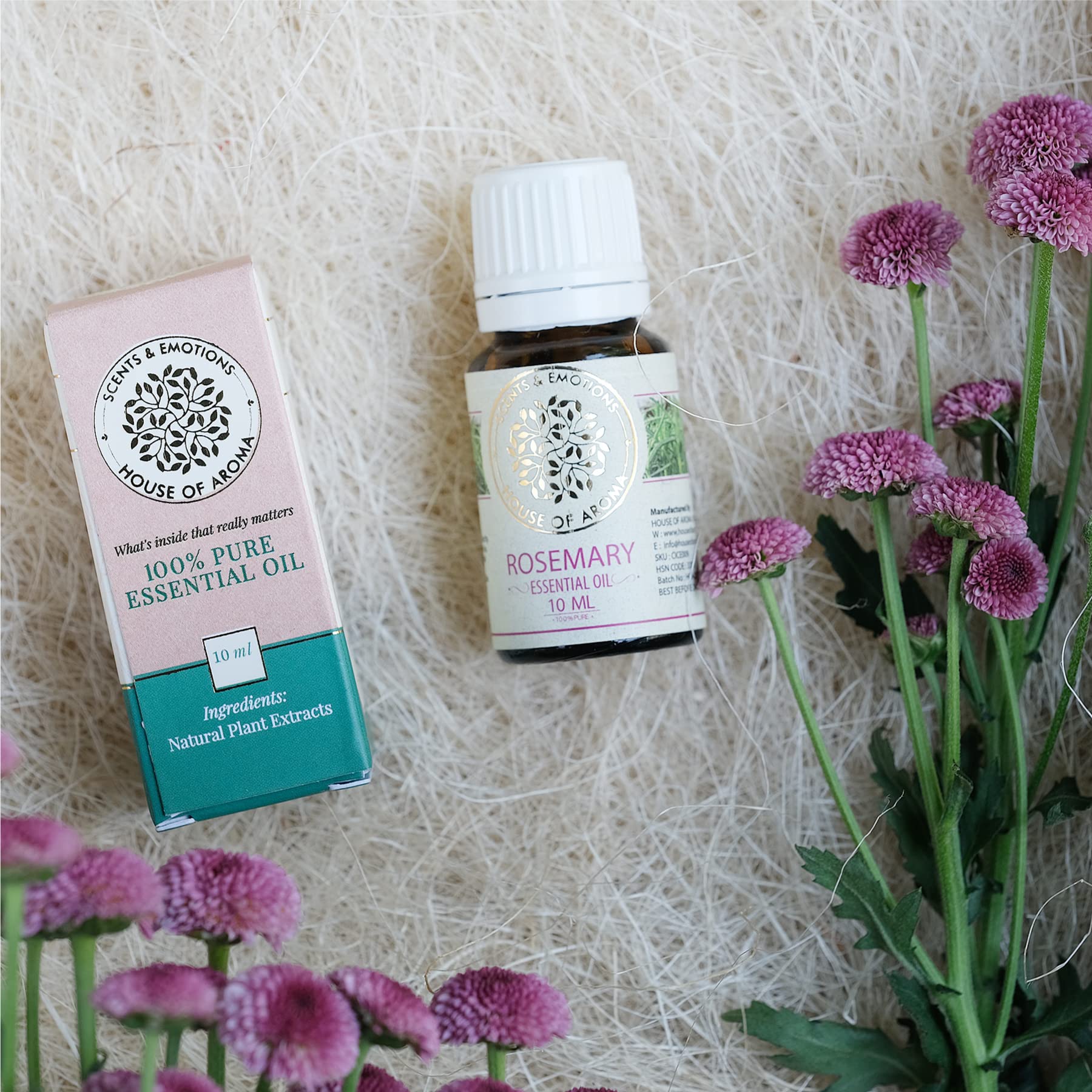 Organic Rosemary Essential Oil for Hair Growth & Scalp Care - 100% Pure Natural Aromatherapy Oil to Fight Dandruff, Prevent Hair Loss, Moisturize Skin & Reduce Dark Circles - Perfect for DIY Beauty, Massage & Home Fragrance (10ml)