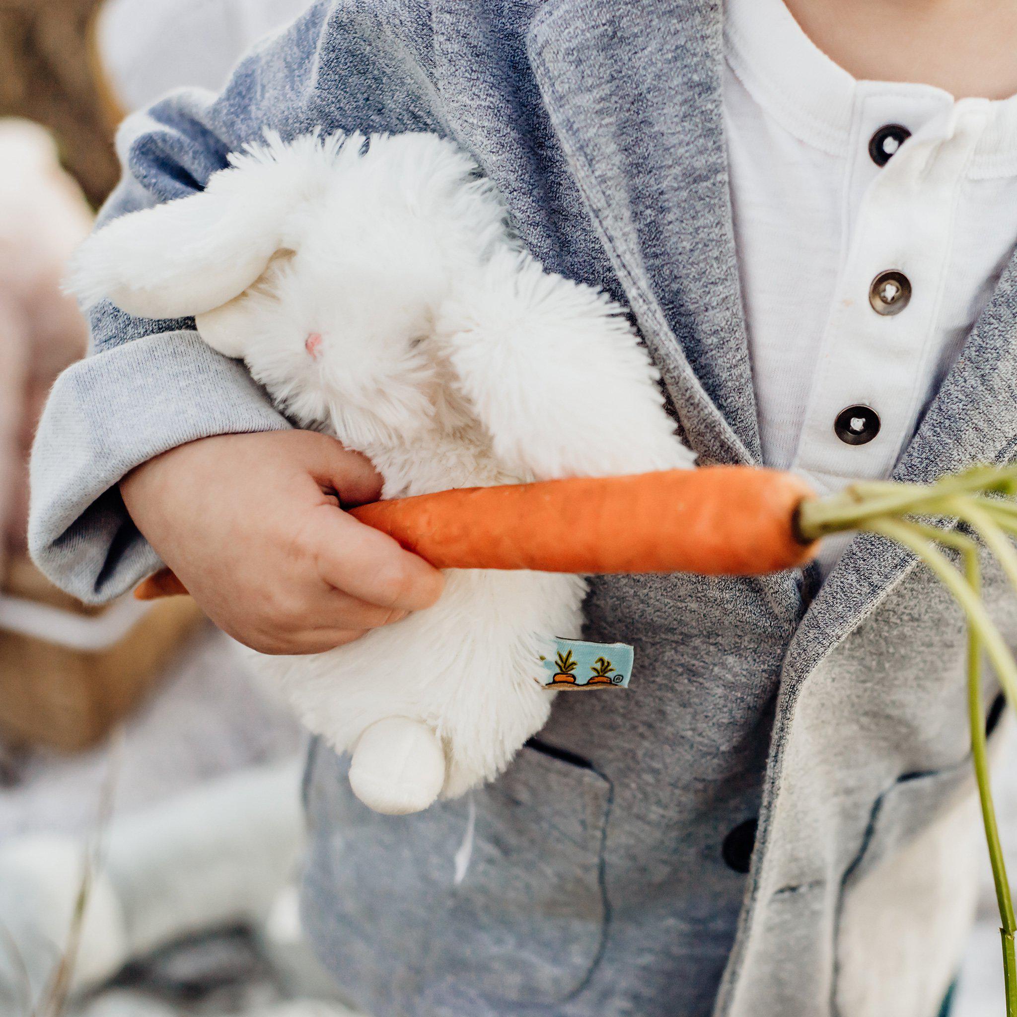 Wee Ittybit Bunny - Adorable Mini Plush Bunny Toy for Kids & Collectors | Perfect for Gifts, Nursery Decor, and Easter Celebrations