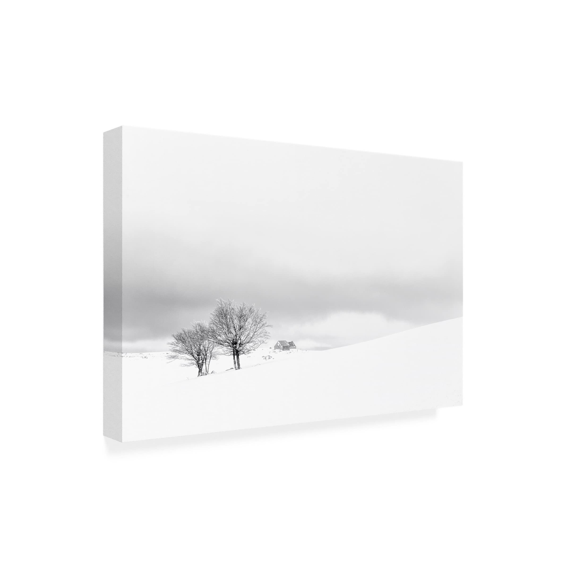 Trademark Fine Art 'Silence' Canvas Wall Art by Dominik Garcia - Modern Abstract Painting for Living Room, Bedroom & Office Decor
