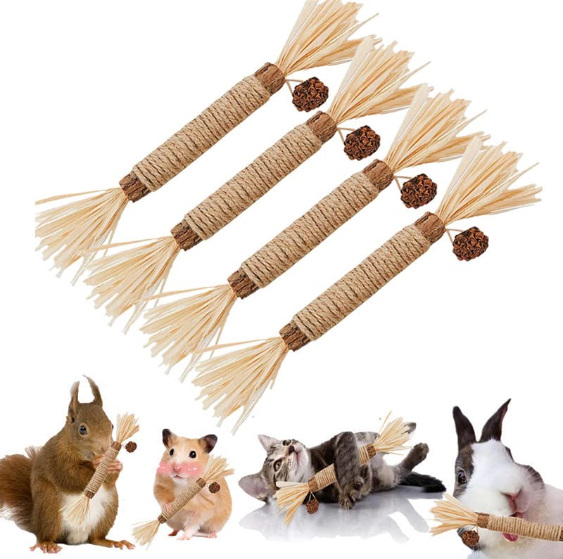 Premium Catnip Chew Toy with Silvervine Ball - Natural Dental Treats for Cats & Kittens - Matatabi Snack for Teeth Cleaning & Exercise - Great for Indoor Play, Kitty, Puppy, Hamster & Rabbit - Perfect for Stress Relief & Playtime Fun