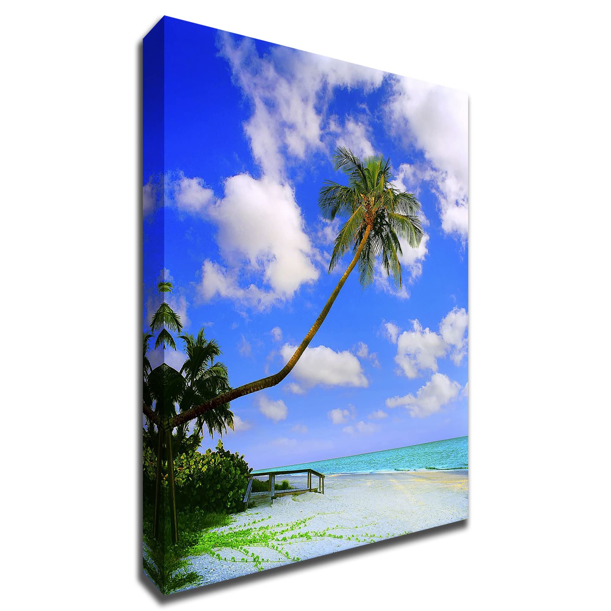 Sanibel Island Coastal Wall Art Print by Jack Reed - 30