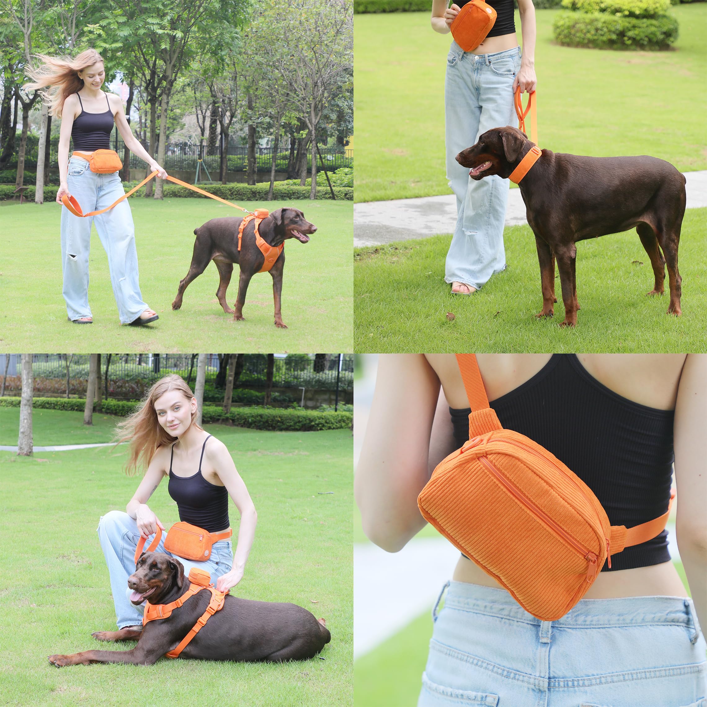 Custom Personalized Dog Harness & Leash Set with Name - Reflective No-Pull Pet Harness with Poop Bag Holder - Beige Gray Small Orange for Walking, Training & Outdoor Adventures