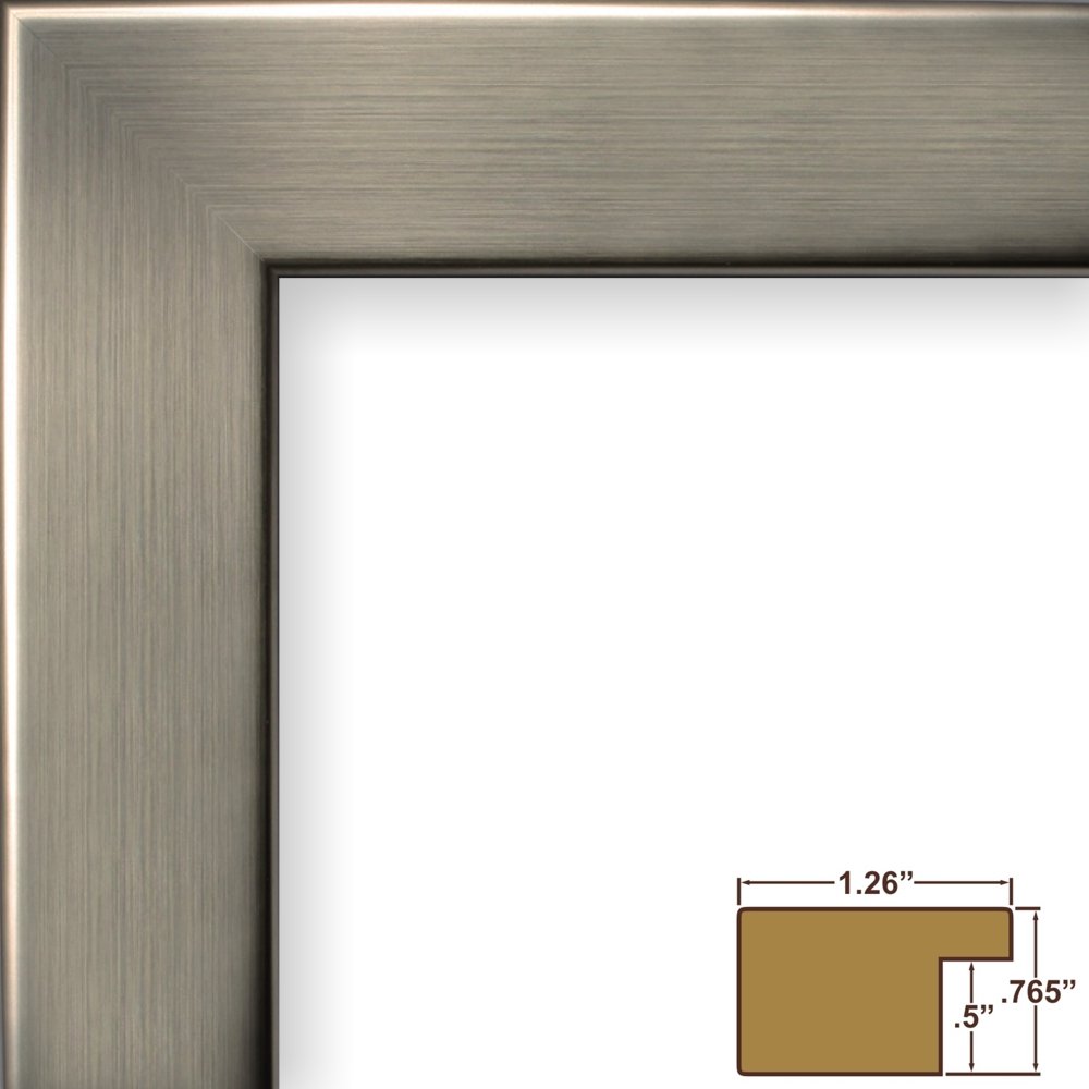 Craig Frames 26966 19x25 Inch Stainless Silver Picture Frame Set of 2 - Perfect for Wall Decor, Living Room, Bedroom & Office Photos