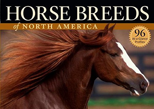 North American Horse Breeds Guide - Comprehensive Paperback Book on US & Canadian Equine Species | Perfect for Equestrian Enthusiasts, Breeders & Horse Owners