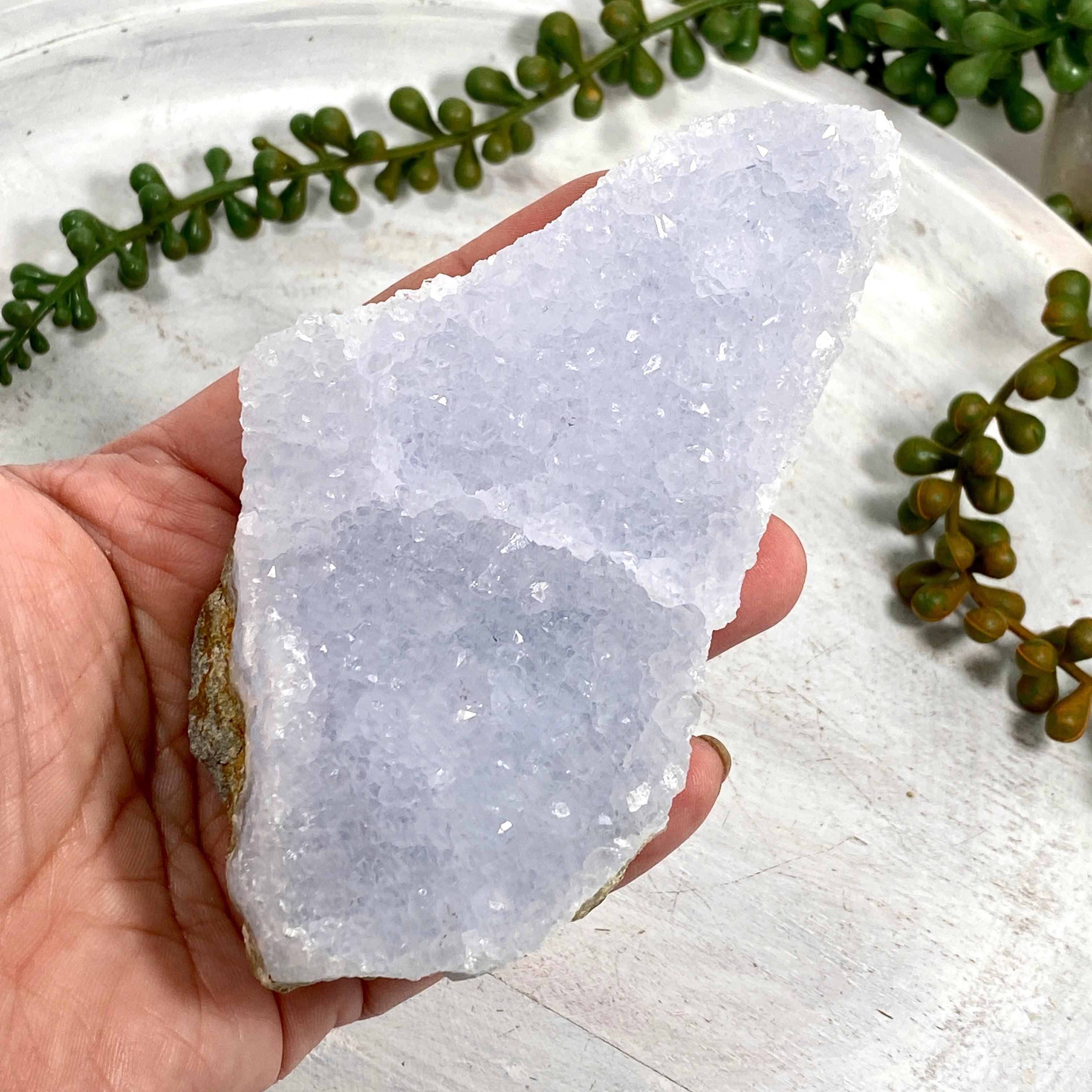 Natural Blue Lace Agate Raw Crystal Stone - Healing Gemstone for Meditation, Chakra Balancing & Home Decor (CR3523) - Perfect for Spiritual Healing, Yoga Spaces & Crystal Collections