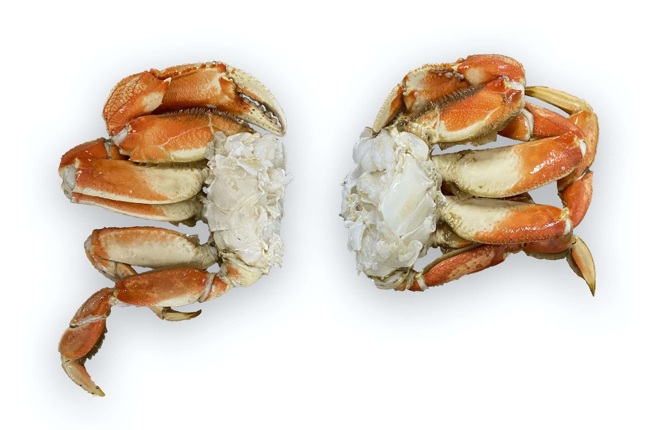 Fresh Dungeness Crab Sections - 10 Pound Box | Premium Wild-Caught Crab Meat for Seafood Lovers | Perfect for Crab Cakes, Salads & Gourmet Meals