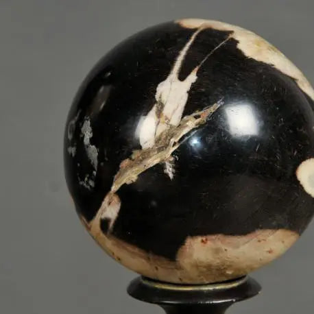 Natural Petrified Wood Spheres - Unique Home Decor & Healing Crystals for Meditation, Feng Shui, and Office Desk Display