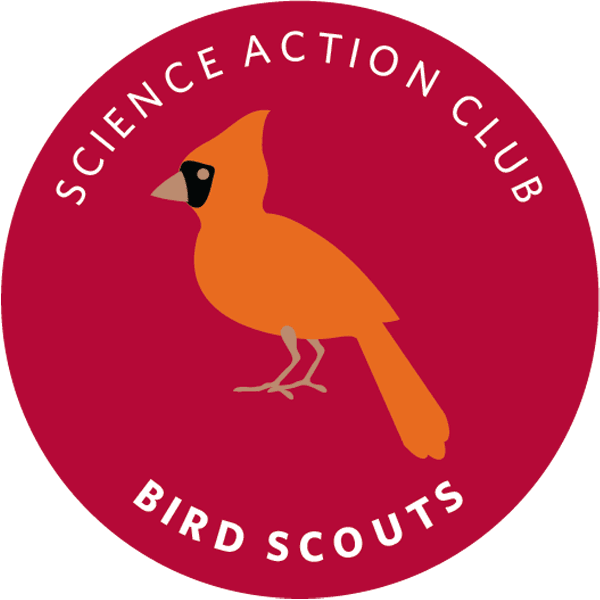 Science Action Club Bird Scouts Kit - Bilingual English & Spanish - Perfect for STEM Learning & Outdoor Exploration