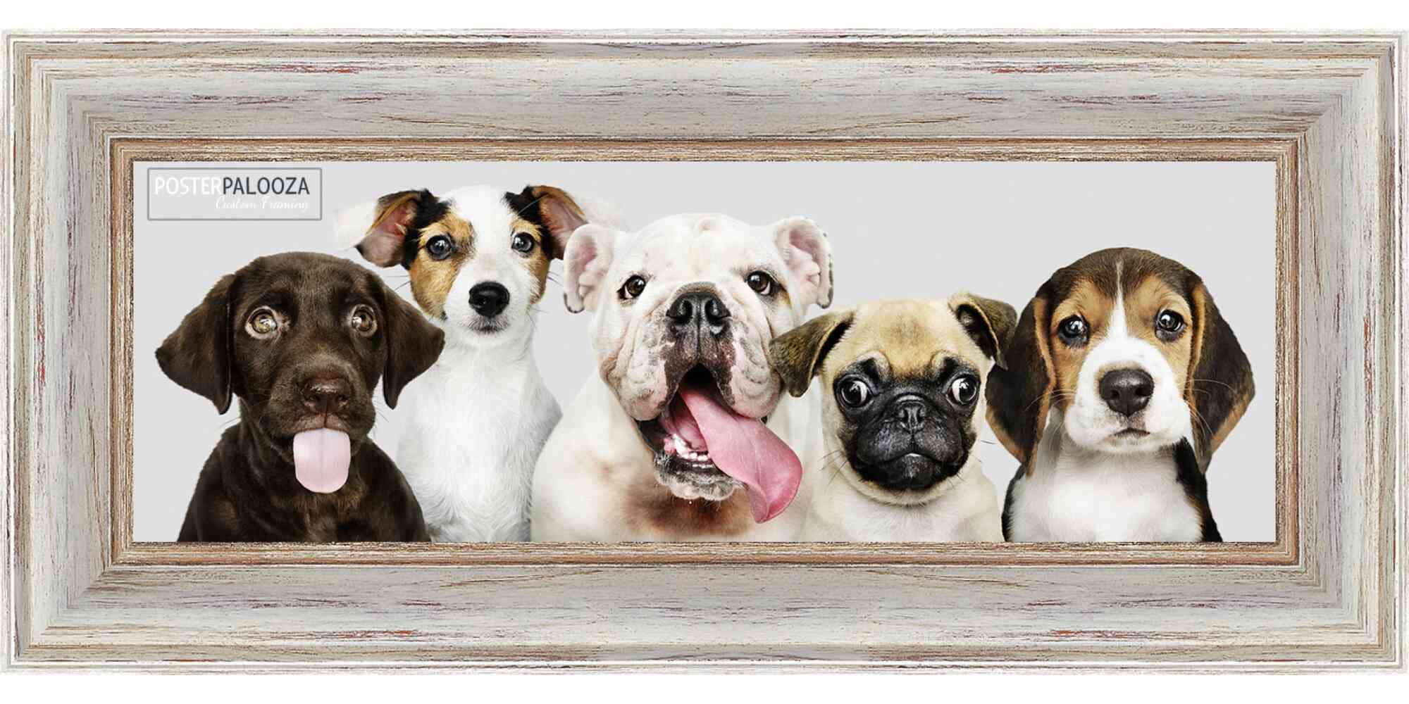 10x24 Contemporary White Wood Picture Frame with UV Acrylic & Foam Board Backing - Wall Art Display for Home, Office Decor - Complete with Hanging Hardware - Perfect for Posters, Photos & Artwork