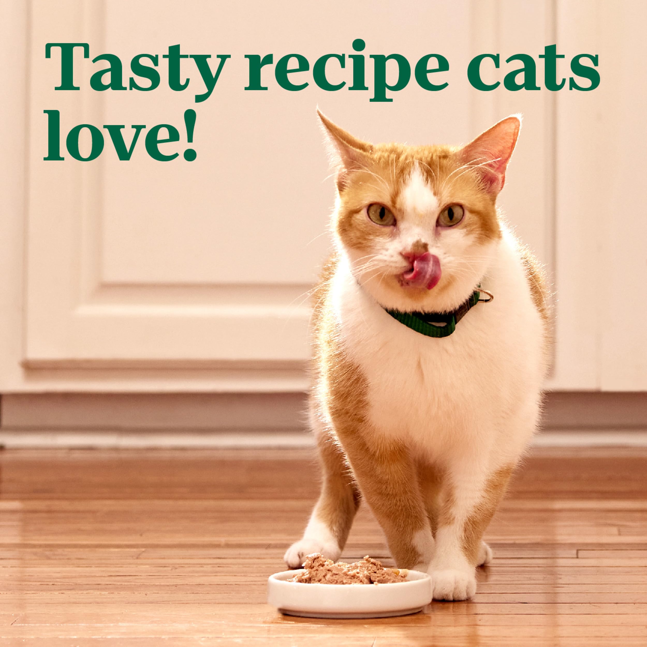 Nutro Perfect Portions Wet Cat Food Paté Chicken Recipe, 2.64 oz. Twin-Pack Trays (24 Count, Pack of 1) - Grain-Free, High Protein Cat Food for Adult & Senior Cats - Perfect for Mealtime, Travel & Portion Control