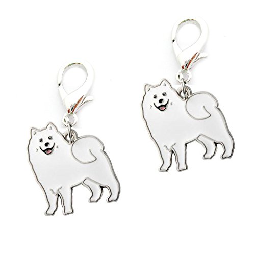 Samoyed
