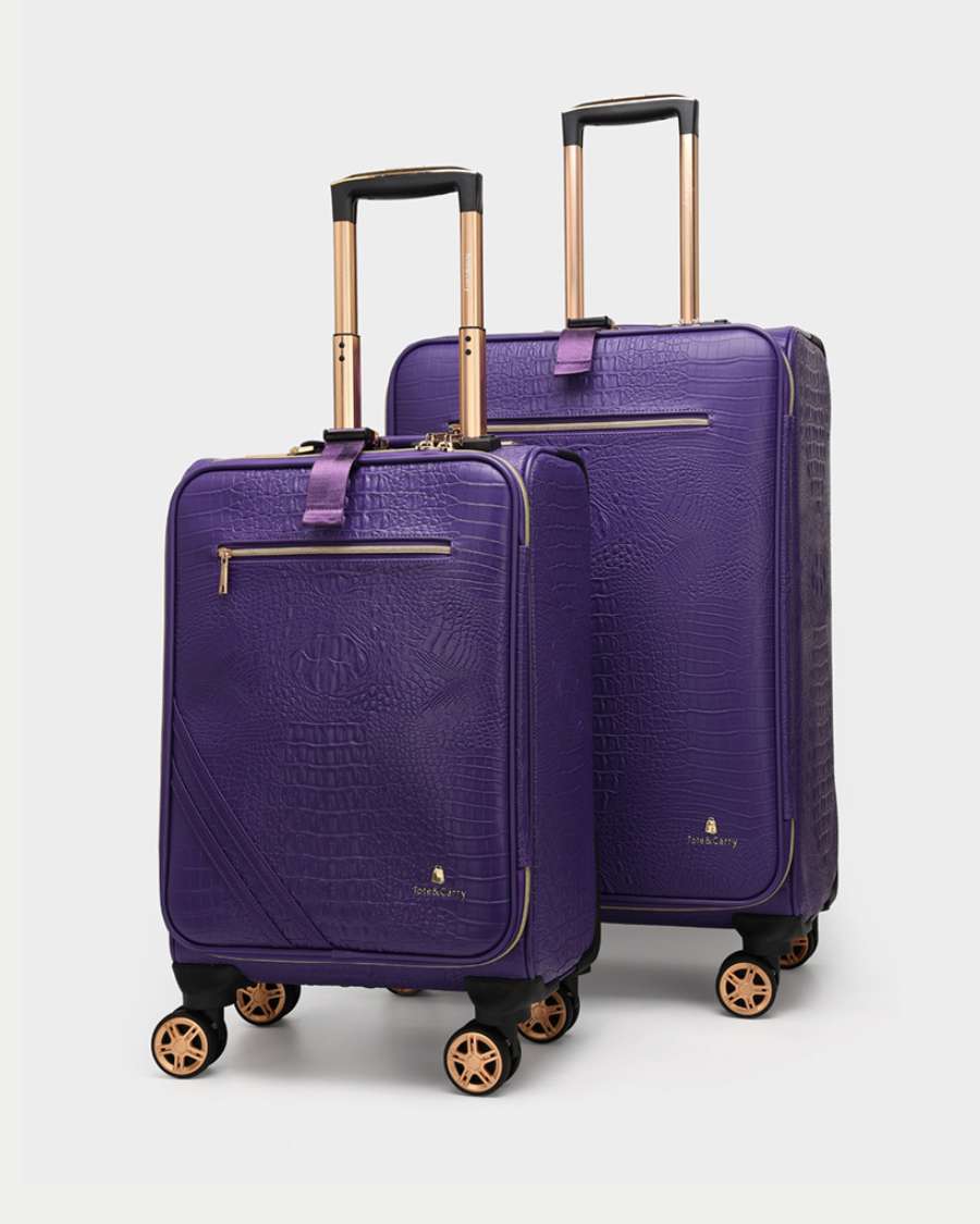 Apollo 2-Piece Luggage Set - 20