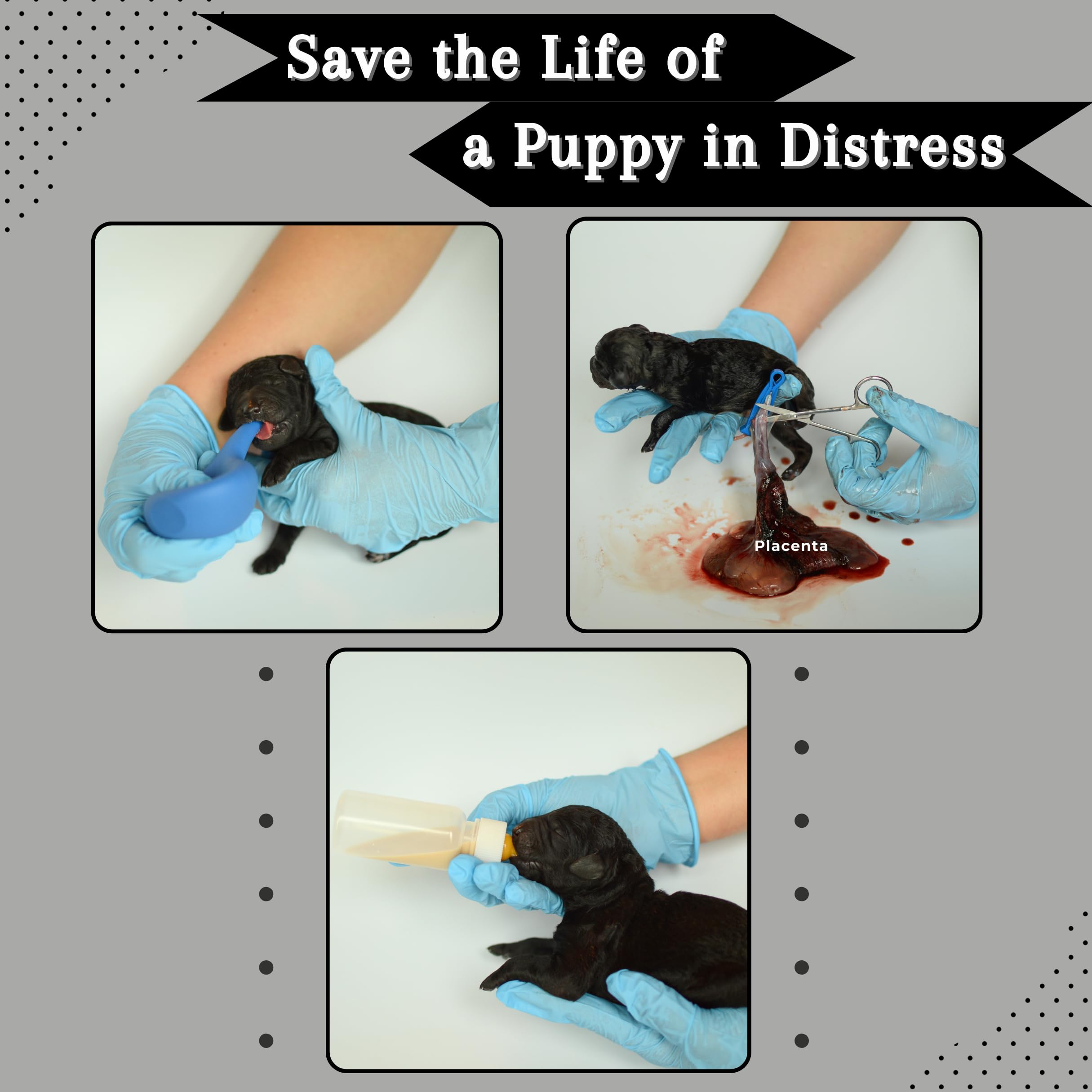 SheffieldSSShop 64-Piece Puppy Whelping Kit - Essential Dog Birthing Supplies for Newborn Puppies, Nursing Bottles, Puppy Collars | Perfect for Breeders & Dog Litters | Home Veterinary Use & Emergency Puppy Delivery