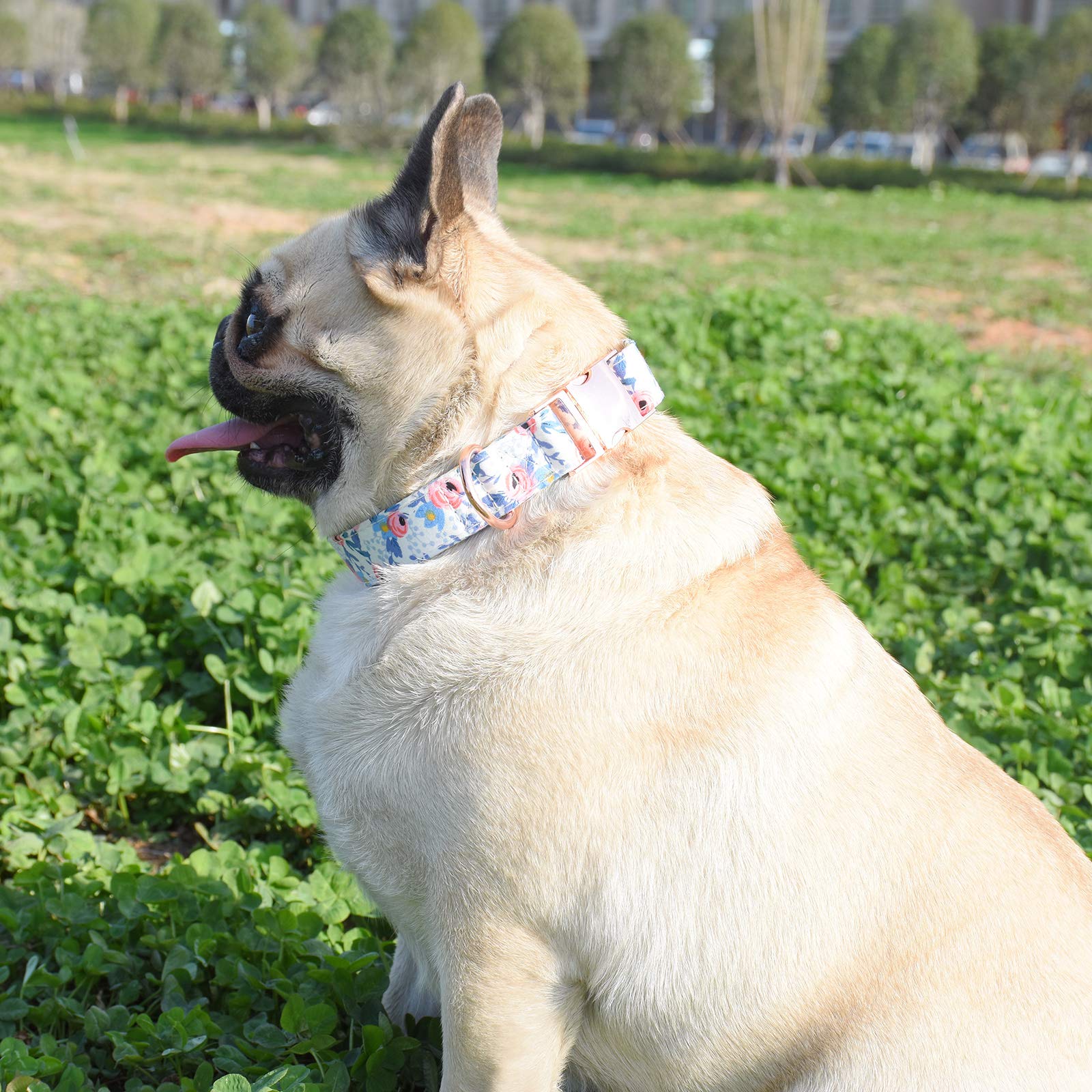 Durable Adjustable Metal Buckle Dog Collar for Small Medium Large Dogs - Soft Comfortable Pet Collar with Floral Design (Sizes 10-14in) - Perfect for Daily Walks, Training & Outdoor Adventures