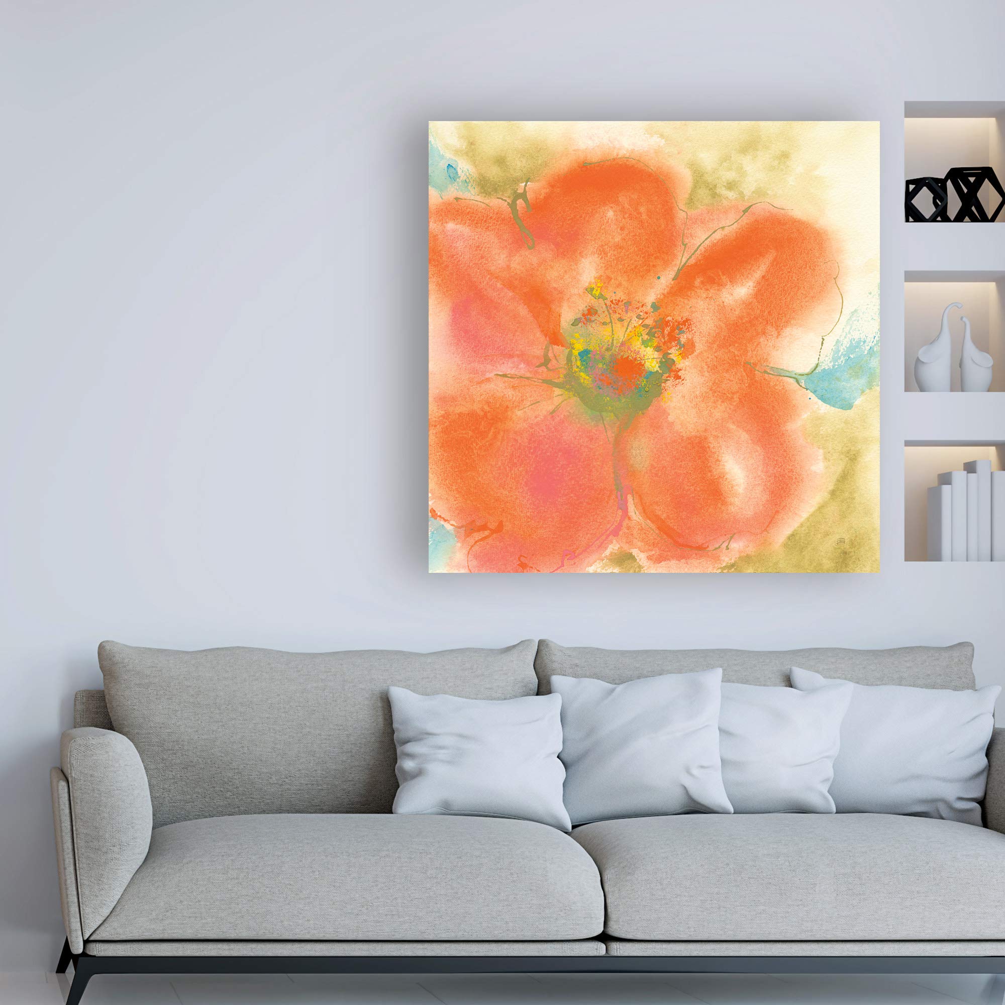 Trademark Fine Art 18x18 Coral Poppy II by Chris Paschke - Floral Wall Art for Living Room, Bedroom & Office Decor