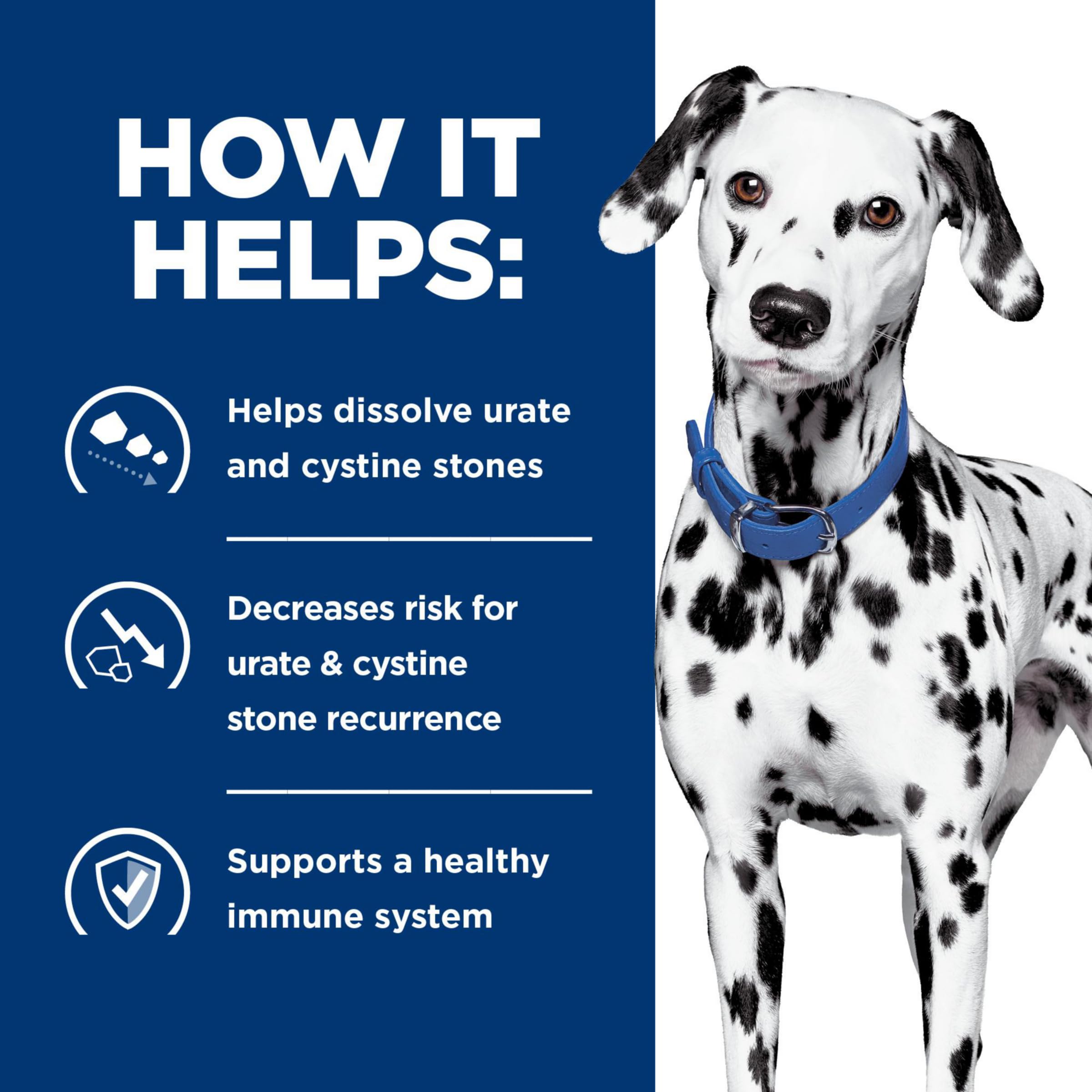 Hill's Prescription Diet u/d Urinary Care Dry Dog Food - Veterinary Recommended Urinary Health Formula for Dogs - 27.5 lb Bag - Supports Bladder & Kidney Function - Ideal for Dogs with Urinary Issues or Crystals