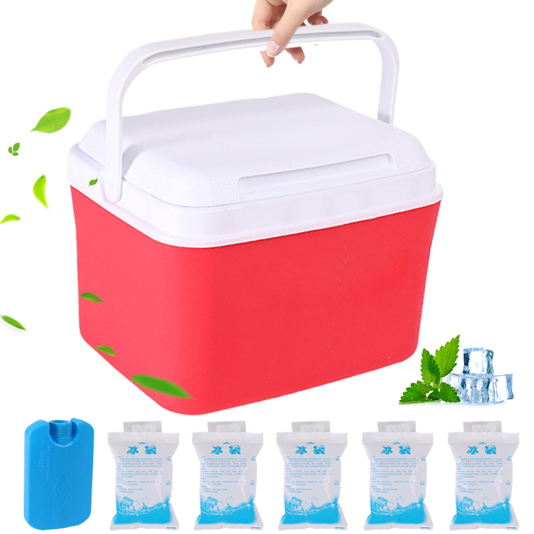 5qt Mini Cooler - Insulated Small Hard Cooler with Handles, Portable Ice Chest for Lunch, Beach, Picnic & Camping | Red Compact Cooler for Outdoor Activities, Travel & Daily Use