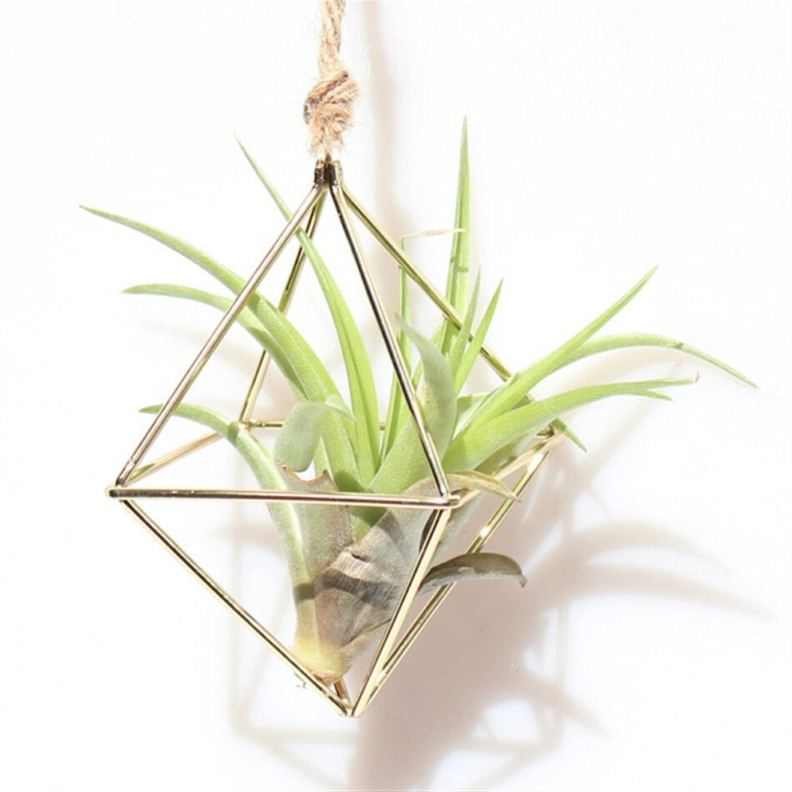 Metal Geometric Hanging Planter for Air Plants - Rustic Iron Window Flower Pot Holder for Tillandsia - Home & Garden Decor for Living Room, Bedroom, Balcony (Color: A)