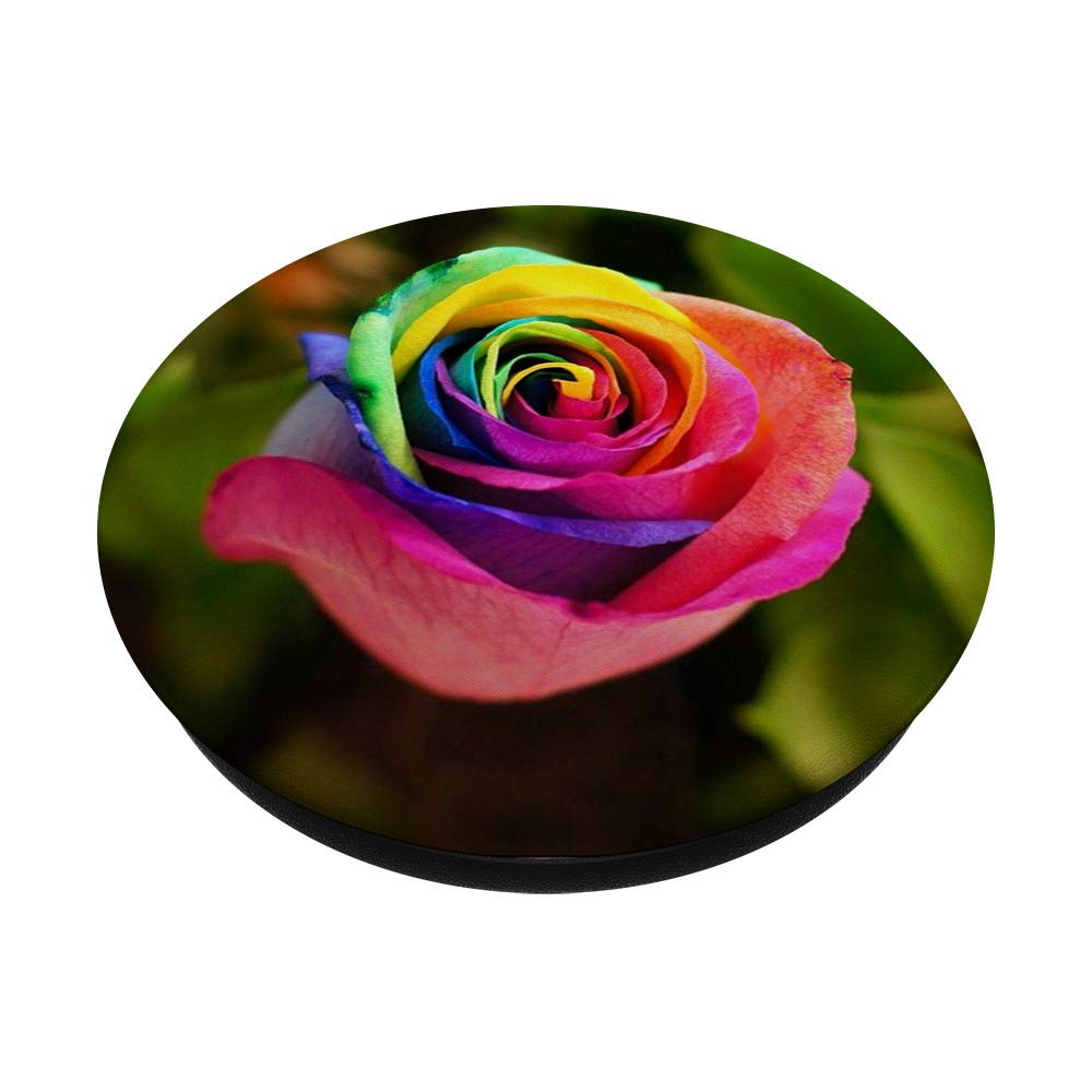Floret Phone PopSockets PopGrip - Interchangeable Phone Grip for iPhone, Samsung & Tablets | Secure Hold for Selfies, Videos & Gaming | Stylish Swappable Design for Everyday Use