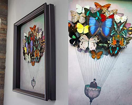 Real Framed Butterfly Art Hot Air Balloon - Nature Inspired Wall Decor for Living Room, Bedroom & Office | Unique Home Decoration Gift Idea