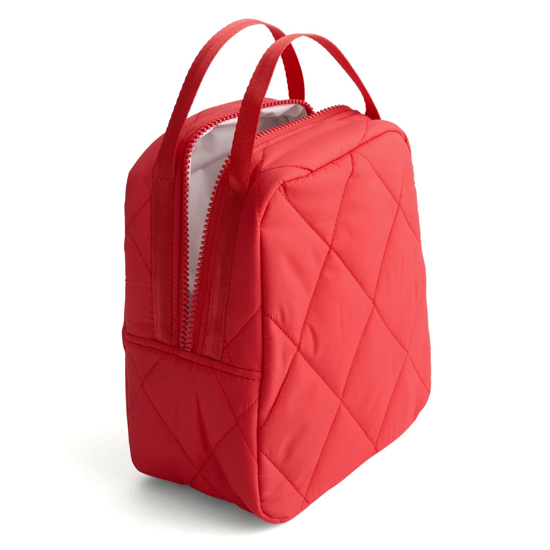 Insulated Lunch Bag for Work & School - Leakproof & Durable Food Container - Perfect for Office, Picnic, and Travel Meals