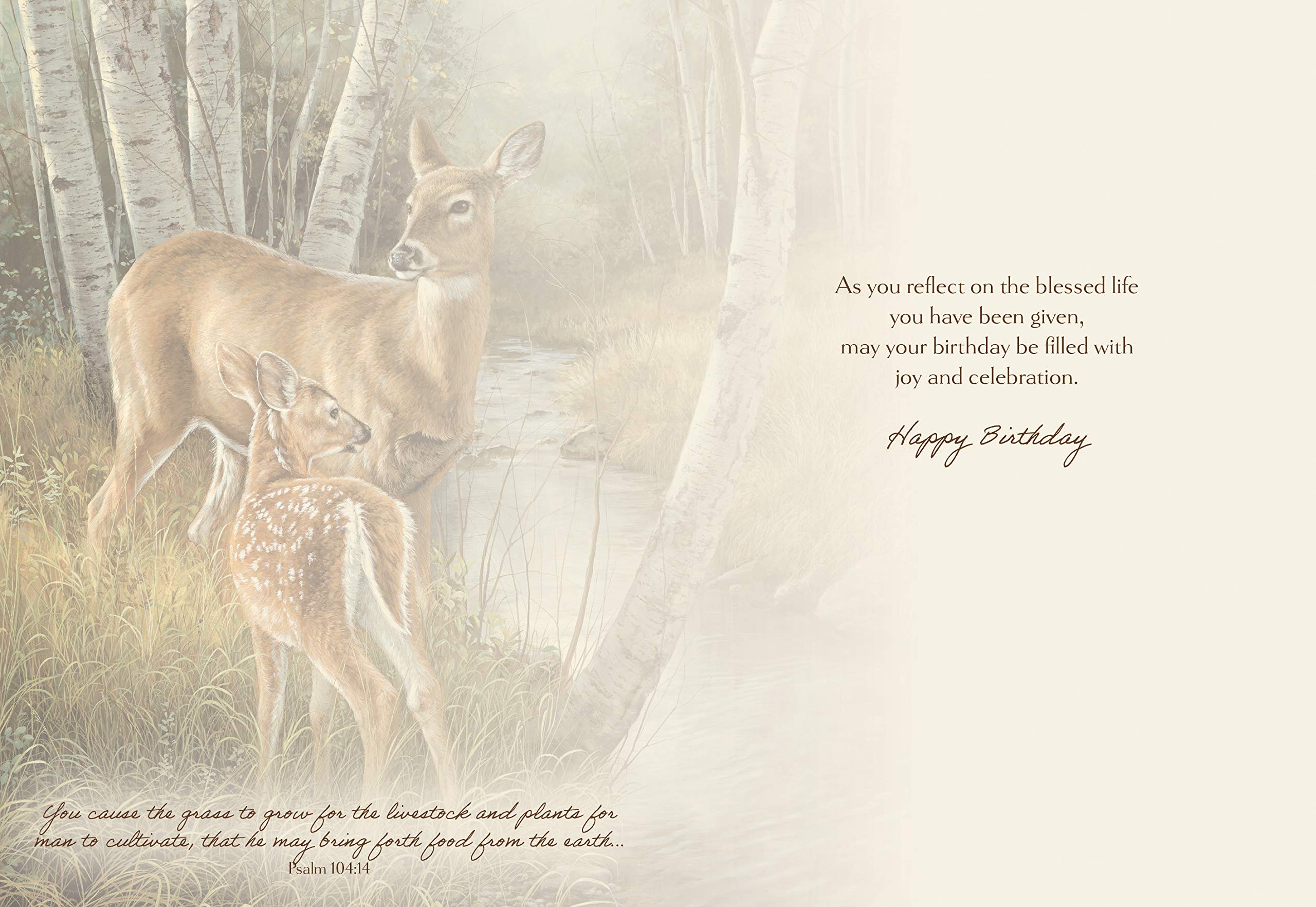 HTL Birthday Greeting Cards - Box of 12 Whitetail Deer Design | Perfect for Birthday Wishes, Thank You Cards & Special Occasions