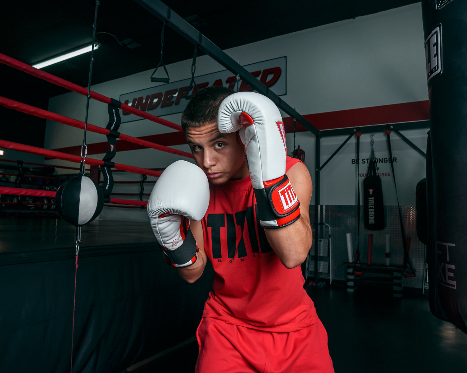 TITLE Boxing All Heart Bag Boxing Gloves 2.0 - Premium Training Gloves for Boxing, MMA & Fitness - Ideal for Heavy Bag Workouts, Sparring & Cardio Training