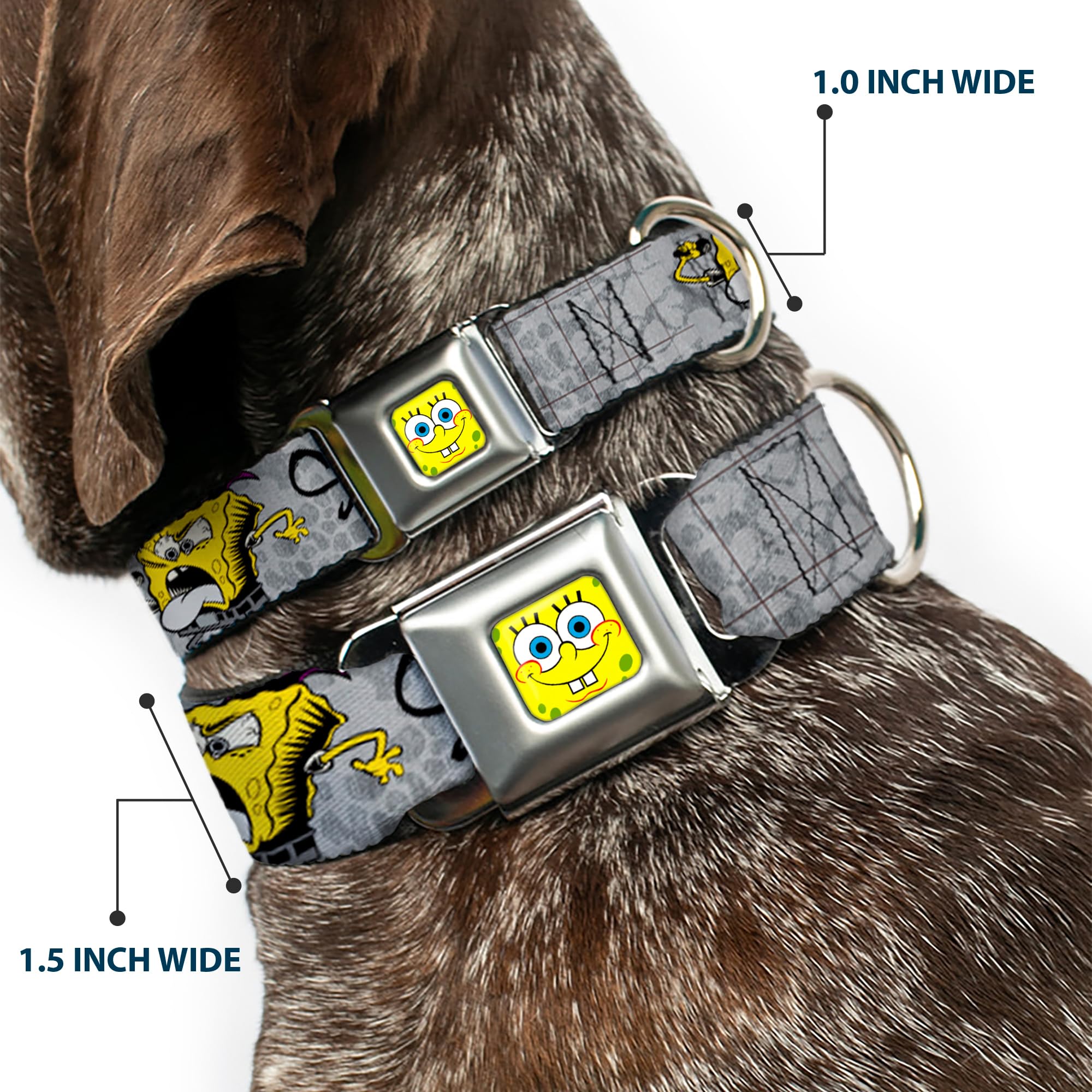 SpongeBob Dog Collar with Seatbelt Buckle - 3 Fun Poses (Grays & Black) - Adjustable 9-15 Inches, 1.0 Inch Wide - Perfect for Car Rides, Walks & Costume Play