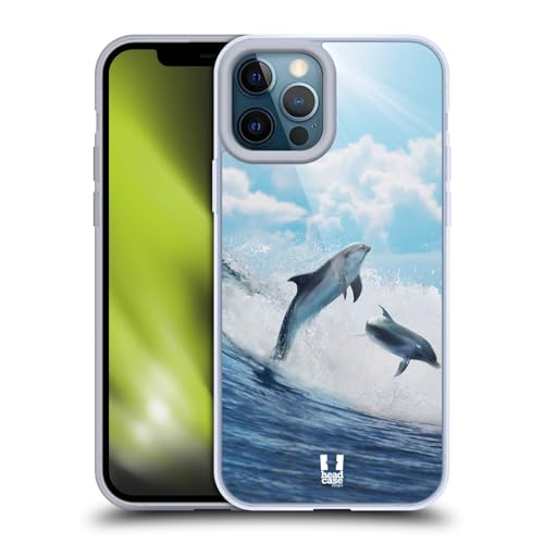 Happy Surfing Dolphins