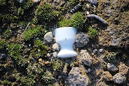 Antique Porcelain Ceramic Insulator Vintage Moss Wall Art - 20x30 Inch Laminated Poster with Vibrant Colors for Home Decor | Perfect for Living Room, Bedroom & Office Decor