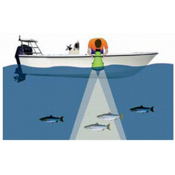 Premium Stackable Bathyscope - Underwater Exploration Tool for Kids & Adults - Perfect for Pool, Beach & Marine Observation