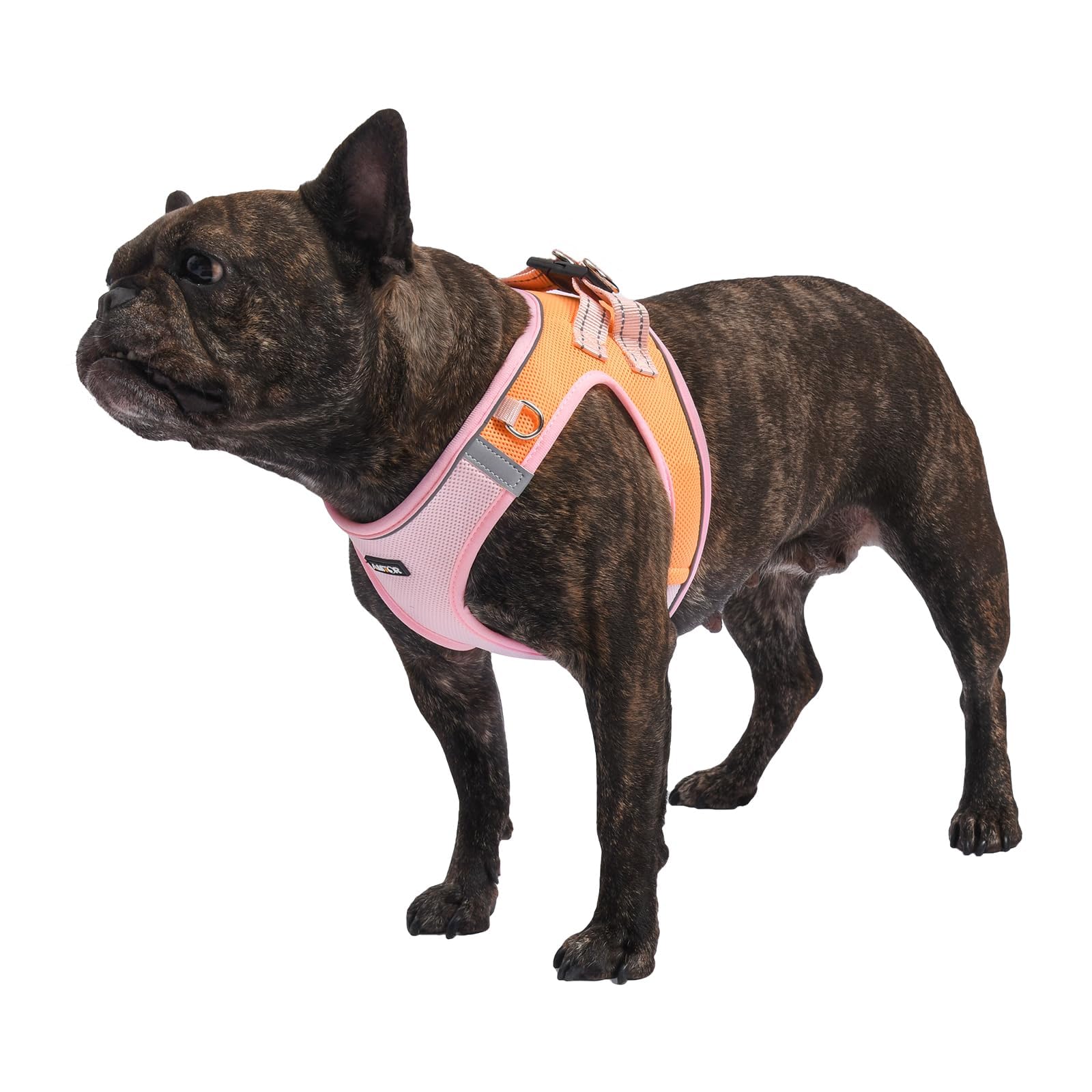 AMTOR Small Dog Harness with Leash Set - No Escape Easy Walk Puppy Harness for Training & Walking - Step-in Reflective Soft Dog Vest for XS, S, M, L Sizes (Pink/Orange) - Perfect for Outdoor Adventures, Night Walks & Puppy Training Sessions