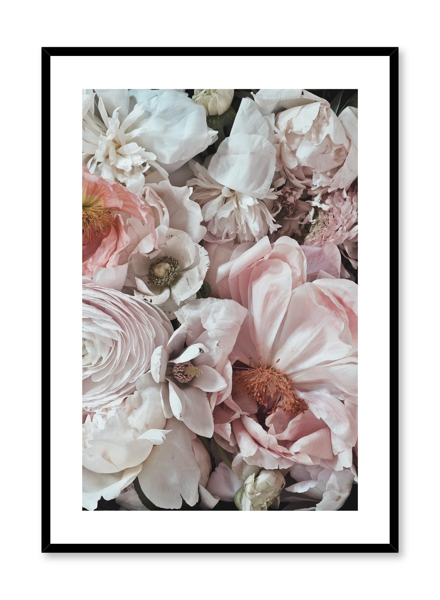 Vibrant Petals Poster - Floral Wall Art Decor for Home, Office & Gifts | Perfect for Living Room, Bedroom & Wedding Decorations