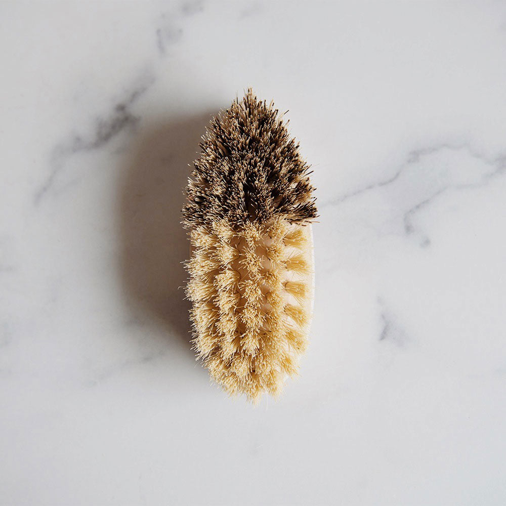 Organic Wooden Vegetable Brush - Natural Bristles for Cleaning Fruits & Vegetables - Eco-Friendly Kitchen Scrubber for Fresh Produce - Perfect for Organic Farming & Healthy Cooking