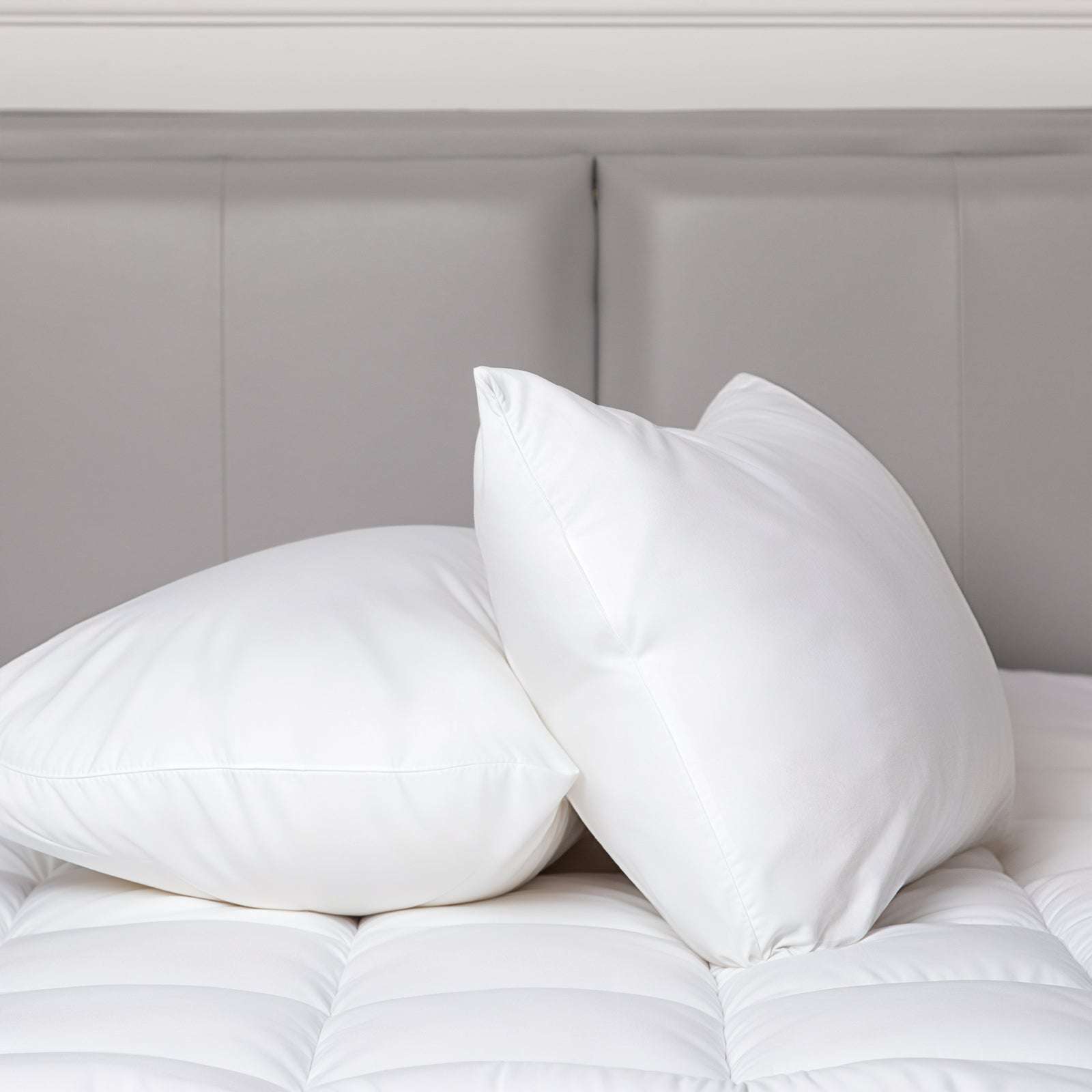 100% Cotton Pillow Cover with 800g Poly Fill - Hypoallergenic, Antibacterial & Cooling Technology - 2 Pack - Perfect for Allergy Relief & Hot Sleepers