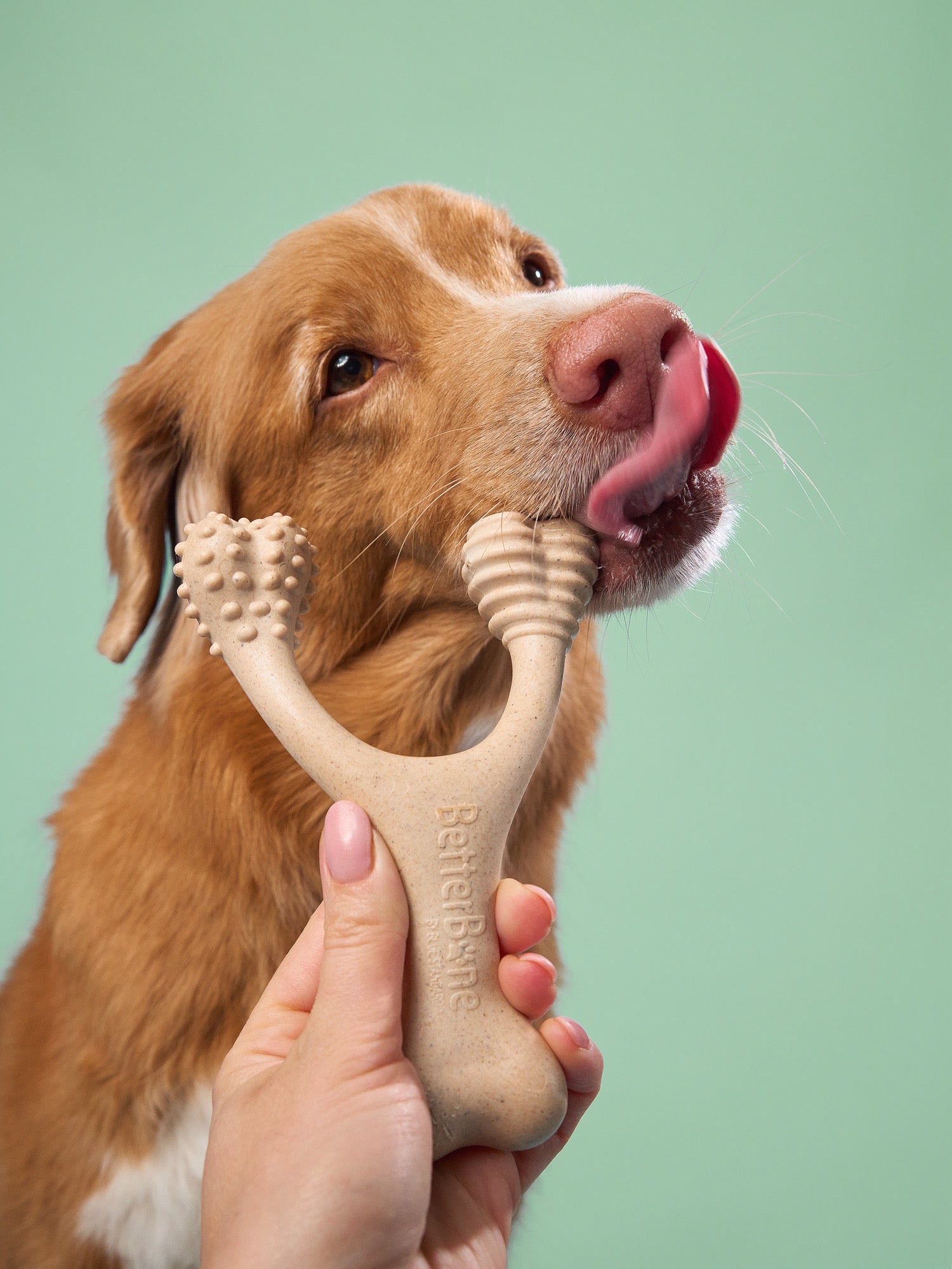 BetterBone TOUGH: Hypoallergenic Chew Bone for Aggressive Chewer Dogs – Durable Dog Toy for Large Breeds, Teething Puppies & Strong Chewers – Perfect for Indoor Play, Outdoor Adventures & Crate Training