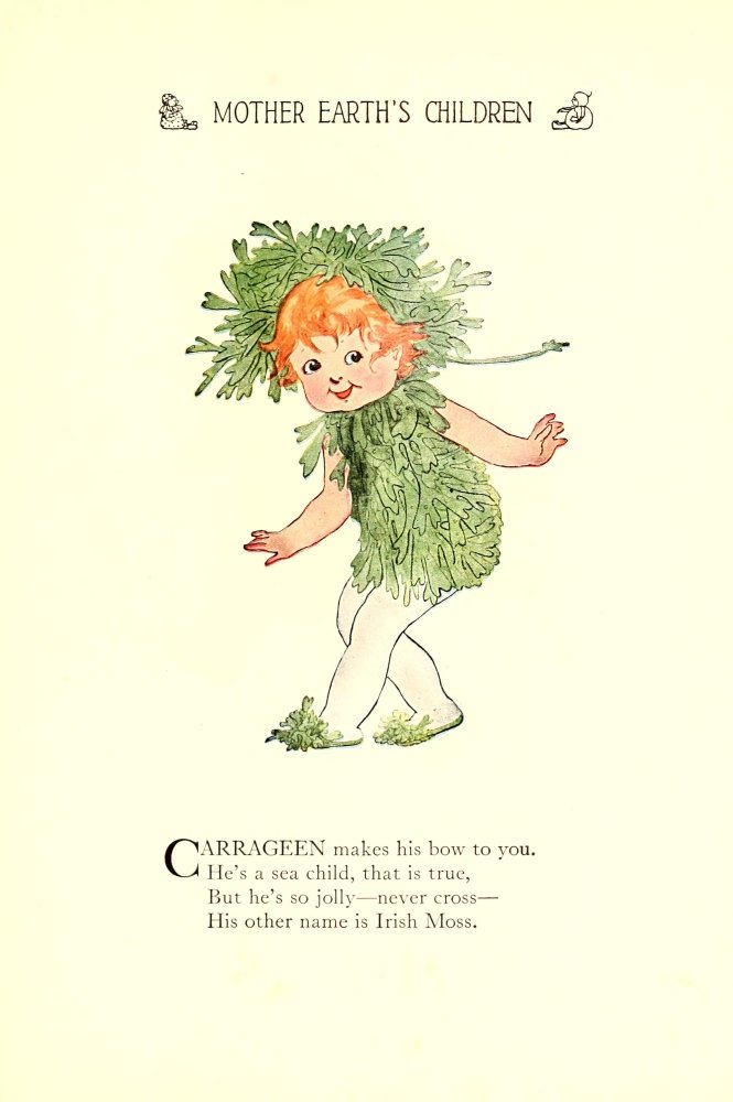 Vintage 1914 Irish Moss Poster Print by MT Ross - Mother Earth's Children Artwork (24x36 Inches) - Perfect for Nursery, Kids Room Decor & Irish-Themed Home Decor