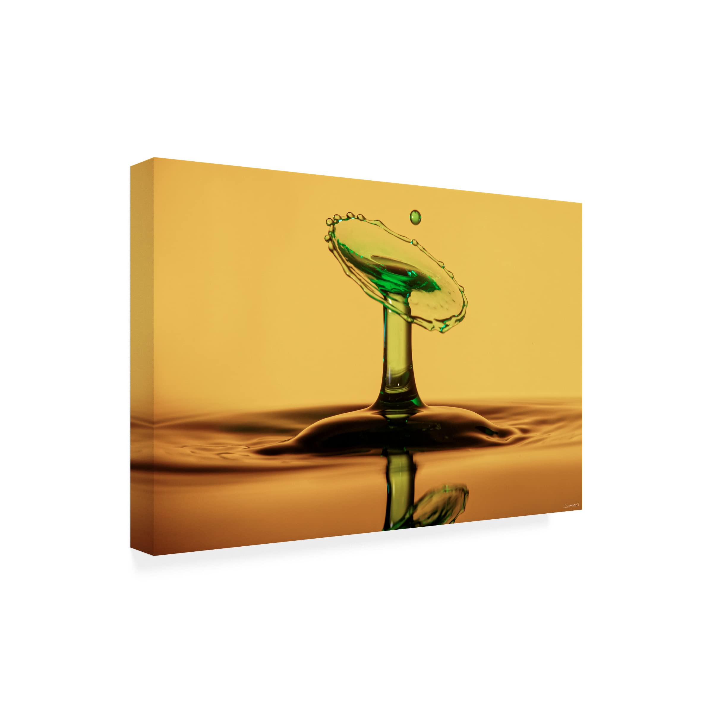 Gordon Semmers Liquid Splash 04 Abstract Canvas Art Print - 16x24 Inches Wall Decor for Living Room, Bedroom & Office | Modern Home & Office Decor
