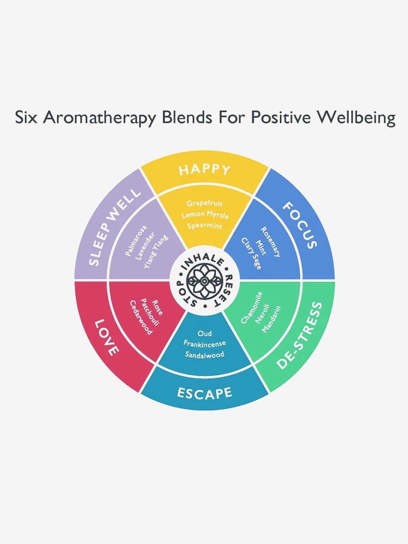 Scentered Aromatherapy Discovery Tin Set - 6 Essential Oil Blends for Stress Relief & Relaxation - Perfect for Home, Office & Travel Use