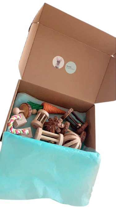 Chewie - 9 Piece Interactive Bunny Toy Set for Dogs - Fun Chew Toys for Puppies & Small Breeds - Perfect for Teething, Training & Playtime